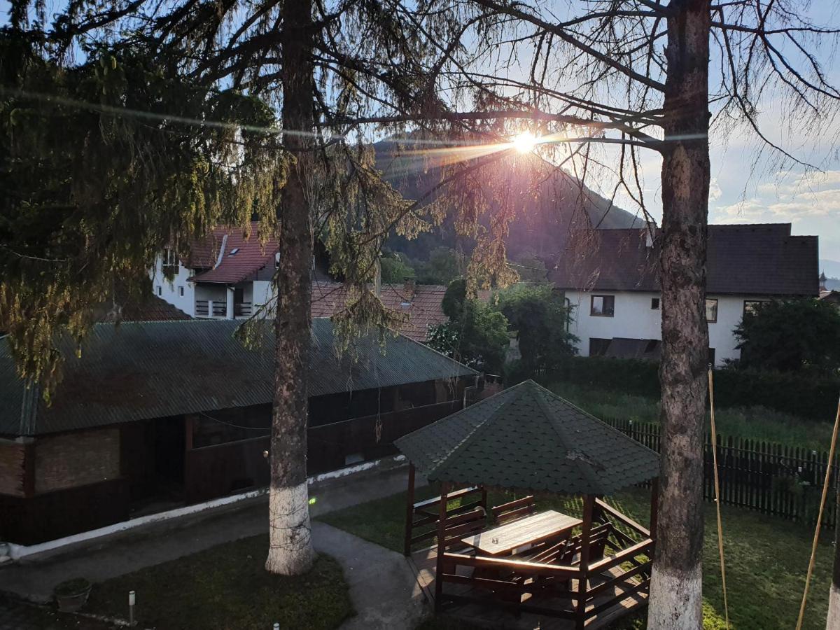 Vila Codreanu Bran  Exterior photo