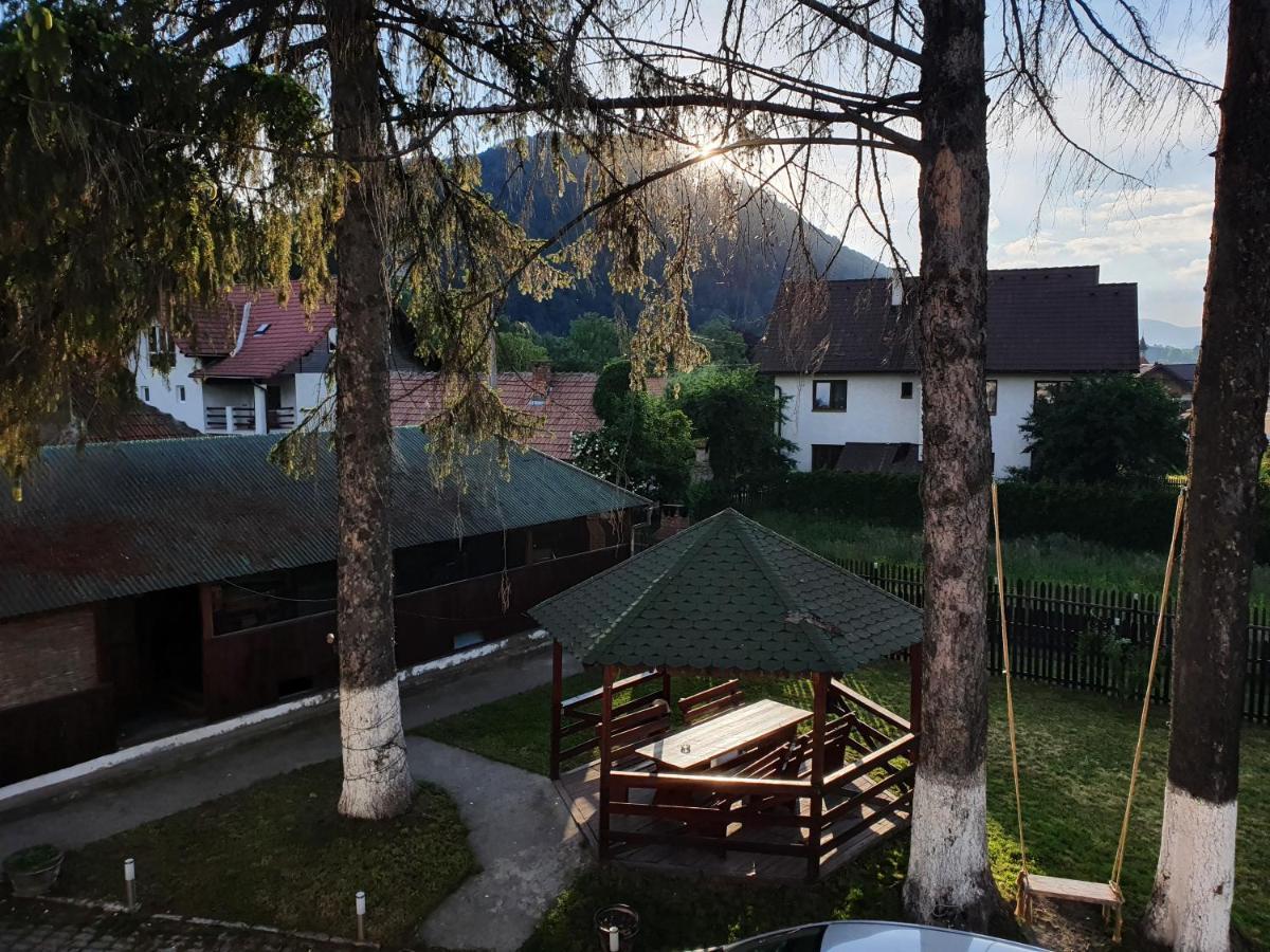 Vila Codreanu Bran  Exterior photo